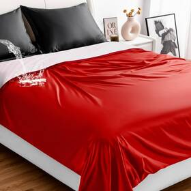 Heq-tisancy-2441 Tisancy Waterproof Bed Blanket Queen Size 78ftft X 100ftft Red