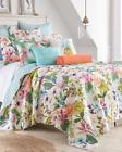 Ts65709099 Home Collection Soft Blue 751637987720