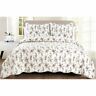United Curtain Gloria Quilt Set By Qglotwmu