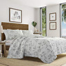 Ushsa91060883 Tommy Bahama Brolly Beach Quilt Set Pastel Grey 883893561526