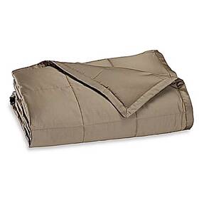 Wamsutta 081806342143 Dream Zone White Goose Down King Luxury Lightweight Blanket In Canvas