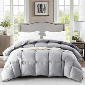 Warmkiss 977027853466 Twin Size Down Comforter Luxurious All-season Duvet Insert With Noi