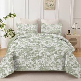 Ys01ac080653q3u-a Wongs Bedding Botanical Quilt Set Queen Size Sage Green 3 Pieces Toile Floral Plants Print