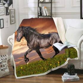 Zfproduct 745302965960 Horse Blanket Gifts For Women 60 Inch 80 Inches Throw Decor Comf