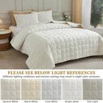 Quilt Set Queen Size, Luxury Velvet Comforter With Pillow Cases, Soft Light. Fixed Price $38.00.