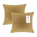 A1HC 22X22 Inch Square Decorative Velvet Throw Pillow Covers Set Of Irish. Fixed Price $28.54.