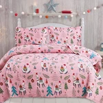 Christmas Quilt Set Twin SIZE,3 Pieces Reversible Kids Girls Bedding Coverlet.... Fixed Price $19.35.