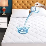 Protect Your Mattress Spills - Twin Xl Quilted Waterproof Pad. Fixed Price $51.99.