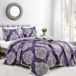 3 Pcs Printed Quilt Set Lightweight Purple Coverlets Bedding For All Seasons. Fixed Price $39.99.