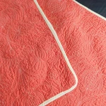 Amy Butler Welspun Standard Queen Pillow Sham Set Orange Quilted Organic Cotton. Fixed Price $38.00.