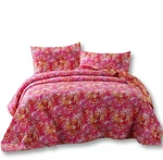 Dada Bedding Lovely Pop Of Colors Lightweight Reversible Quilted Bedspread Set (. Fixed Price $83.99.