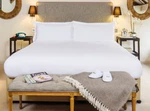 Set Of 2 Jacquard White Top Sheets Triple Bed Sheeting 60/40 Supima Cotton/poly. Fixed Price $36.50.