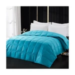 Globon Extra Lightweight Down Blanket Queen Size,summer Comforter/d... Fast Ship. Fixed Price $175.99.