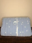 West Elm Embroidered Daisy Quilt - Queen. Fixed Price $149.00.