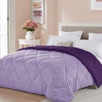 Seward Park Twin Xl Size Light Purple Comforter Plum Lavender Reversible Ligh.... Fixed Price $46.27.