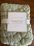 Pottery Barn Teen Cream Puff Microfiber Standard Sham Sage New W/tags. Fixed Price $29.95.