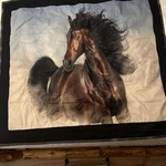 Lancaster Pa Wild Horse Wall Hanging Quilt 44 X 47. Fixed Price $150.00.
