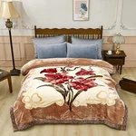 9 Lbs Heavy Korean Mink Blanket,silky Soft And Warm - Style Queen Size.... Fixed Price $128.75.