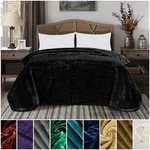 Chezmoi Collection Heavy Thick One Ply Faux Korean Mink Blanket Asia / Us King. Fixed Price $49.99.