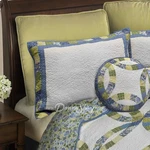 Donna Sharp Arcadia Wedding Ring Sham. Fixed Price $15.00.