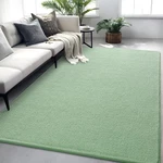 Rugs For Bedroom Living Room, 5X7 Ft Sage Green Area Rug, Washable Memory Foa.... Fixed Price $66.07.