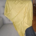 Pottery Barn Plush Throw Lemon-lime Chartreuse Rayon/cotton 70"X50". Fixed Price $34.85.
