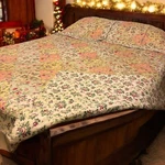 Better Homes Patchwork Quilt & 2 Pillow Shams- Queen- Pastel Antique Wild Roses. Fixed Price $70.00.