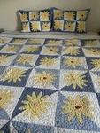 Vintage Pottery Barn "missouri Daisy" Patchwork Queen Quilt & Shams Set. Fixed Price $189.99.