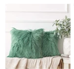 Ashler Pack Of 2 Decorative Luxury Style Green Faux Fur Throw Pillow Case New. Fixed Price $14.16.
