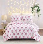 Modern Heirloom Twin Abigail Bow Set 2 Pc Quilted Reversible Wash. Fixed Price $52.00.
