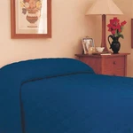 Martex Mainspread Navy Bedspread, Queen,. Fixed Price $61.99.