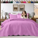 All Season Bedspread Quilt Bedding Set Soft Reversible Cooling Comforter. Fixed Price $23.99.