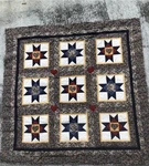 Florida Quilt Heritage. Handmade Star Paisley Patchwork In Navy, Red & Cream. Fixed Price $75.00.