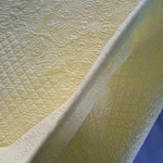 Coverlet/quilt Queen Size Modern. Southern. Home (belk). Fixed Price $90.00.