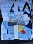 Bluey Twin Quilt & Sham Set Cartoon Pattern Kids Teens Bedding 100% Polyester. Fixed Price $55.00.