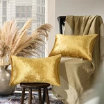 Gigizaza Gold Velvet Decorative Throw Pillow Covers For Sofa Bed 2 Pack Soft .... Fixed Price $23.72.