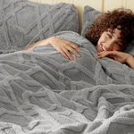 Phf Thick Sherpa Fleece Queen Size, 510GSM Jacquard Warm Blanket, 3D .... Fixed Price $57.63.