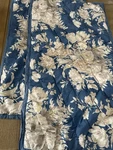 Pottery Barn 2 Bethany Blue Shams King. Fixed Price $79.00.