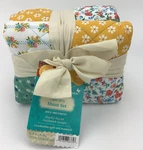 Pioneer Woman Floral Patch King Size Sham Set Of 2 Quilted Nwt Free Shipping. Fixed Price $24.88.