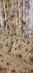 Queen Greenland Home Fashions Floral Quilt Set Vintage Bedroom. Fixed Price $175.00.