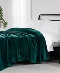 Brand New Ralph Lauren Micromink Green Plush Blanket Queen 90"X90" Rll Logo. Fixed Price $58.50.
