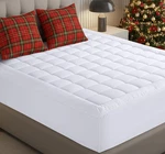 Quilted Fitted Premium Mattress Pad Queen Size - Pillow Top. Fixed Price $22.49.