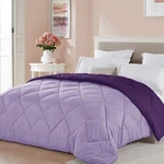 Seward Park Twin Xl Size Light Purple Comforter Plum Lavender Reversible Ligh.... Fixed Price $40.46.