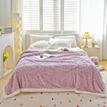 Ukeler Sherpa Bed Blanket 80 90 Inch, Ultra Soft Queen Size Throw For. Fixed Price $97.13.