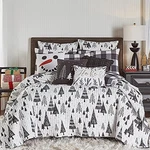 Merry & Bright Collecion - Northern Star Quilt Set Full/queen. Fixed Price $121.03.