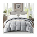 Warmkiss Luxurious Down Comforter Queen Size, Noiseless Skin-friend... Fast Ship. Fixed Price $146.99.