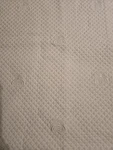 Capecchi Made In Italy White Euro Sham. Bee Design 100% Cotton. Fixed Price $45.00.