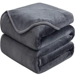 Soft Queen Size Blanket For All Season Warm Fuzzy Microplush Lightweight Ther.... Fixed Price $26.33.