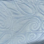 Martha Stewart Quilt Queen Lightweight Blue Paisley Stitched Pattern. Fixed Price $49.00.