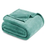 Exclusivo Mezcla Queen Size Flannel Fleece Velvet Plush Bed Blanket As. Fixed Price $32.89.